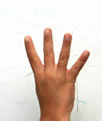 4 fingers