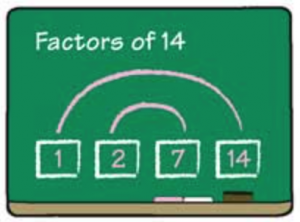 factors of 14